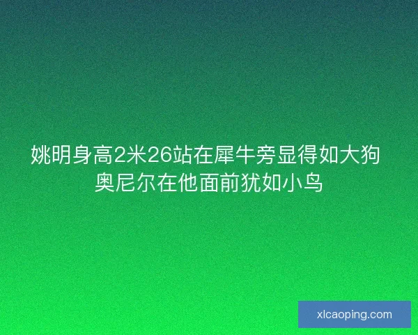 姚明身高2米26站在犀牛旁显得如大狗 奥尼尔在他面前犹如小鸟